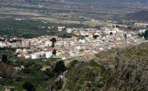 Pide ayuda enn psicologos tijola